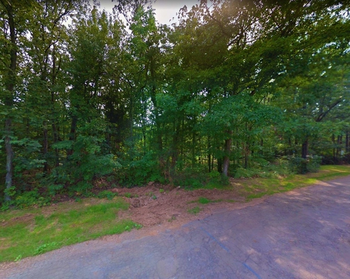 0.31 Acre in Irondale, Missouri (only $200 a month)