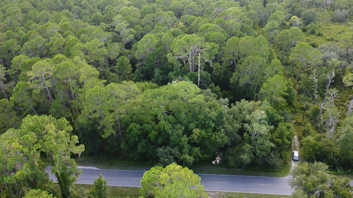 .21 Acres of Scenic Land in Putnam, FL For  $250/MO