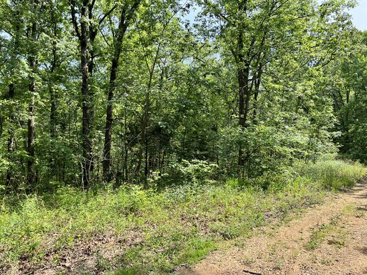 Timberwood Trail, Lincoln, Missouri 65338 Land for Sale | Landmodo