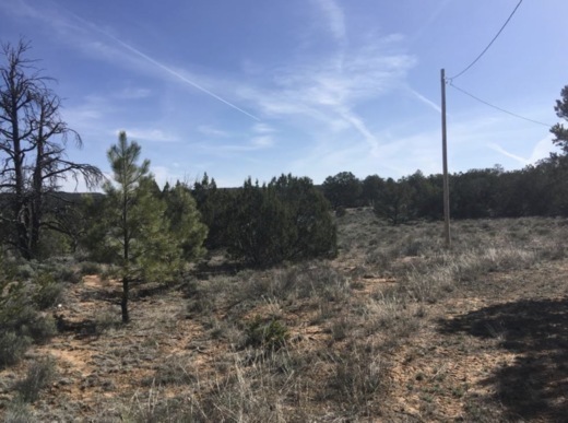 Freedom: 2.5 Acre New Mexico Paradise RVs OK & Power Ready!