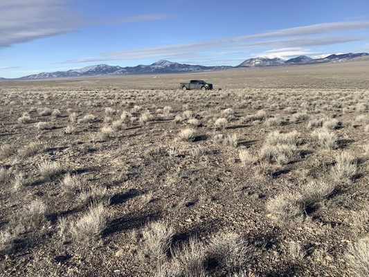 20 Acres in NE Nevada - Adjacent to over 600 acres of BLM