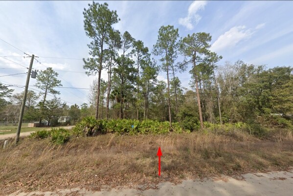 $233/mo! Ideal 0.23-Acre Neighborhood lot in Interlachen, FL