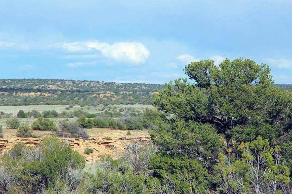 Plenty of OUTDOOR Activities in Apache, AZ! Only $129/Mo