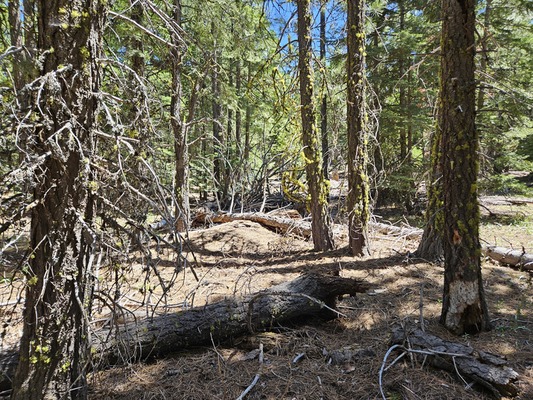 Lot in California Pines – Ideal for Camping, Recreation