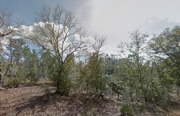 Under Contract: 1.44 Acres in FL: $765.27/Mo- Perfect Spot! 