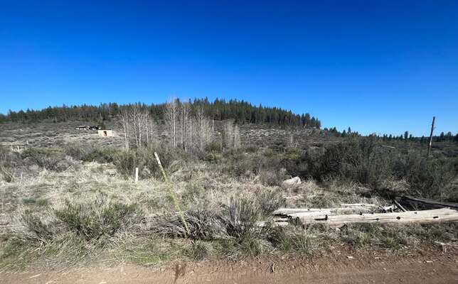 Live Large on 3.24 Acres in Chiloquin, OR!