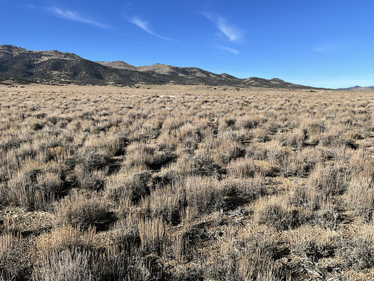 Your 2.26-Acre Weekend Campsite Overlooking Murdock Mountain