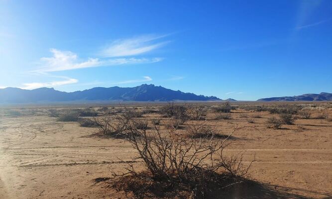 2.5 Acres to Secure Your Dream Project in Luna, NM