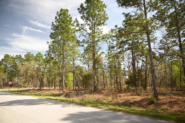 Paved Road and Near Power