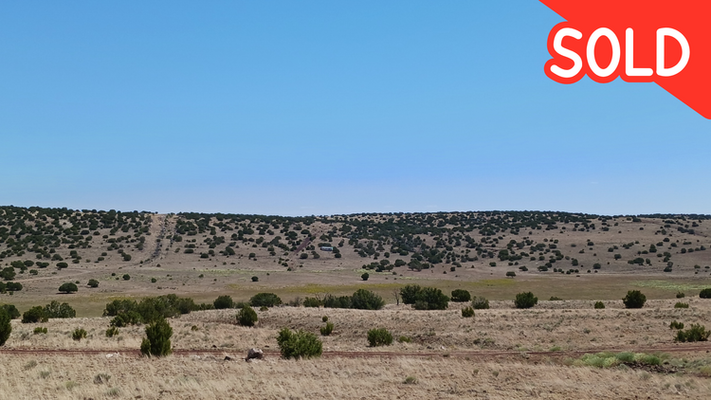 ManCave Alert! Make this 1 acre your Manctuary - Concho, AZ