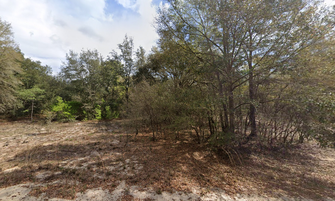 0.22 Acres in Kitty Avenue, FL $237/mo