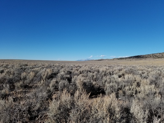 Scenic 2.53 Ac in Wild Horse Mesa