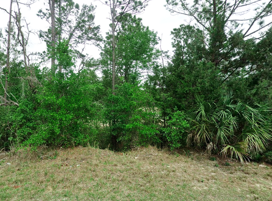 Paved & Powered: 0.25-Acre Corner Lot in Putnam, FL $174/Mo