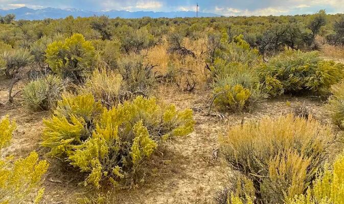 Affordable 4.33-Acres Ranch Living in Elko County