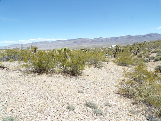 Dare To Dream, Dare To Explore On 1 Acre In AZ! Only $99/Mo