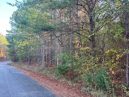 0.5 acres for just $8,900 in Walker county