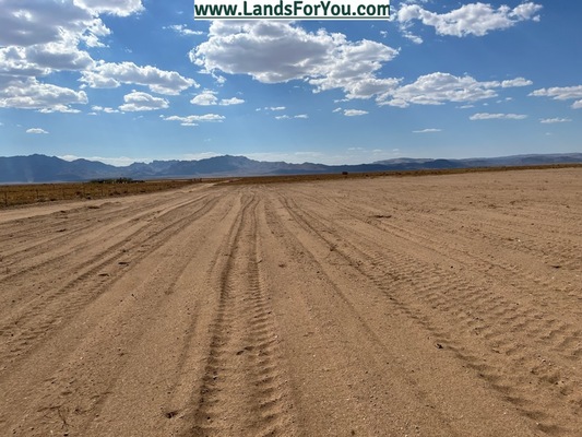 Tired of Your Lawn Mower? Own a Desert!