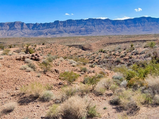 Meadview, AZ - Between the CO River and Grand Canyon West