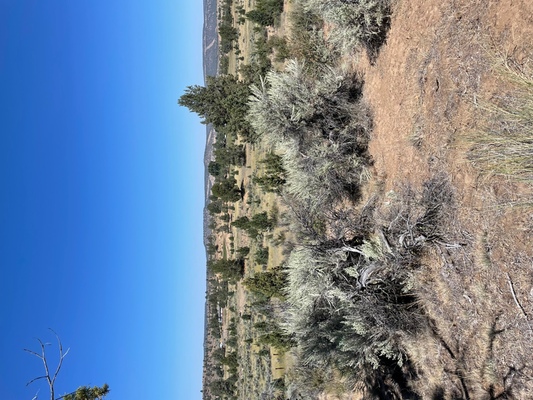 Owner Financing-$100 down-1.09 Acres Rawhide Rd,  CA