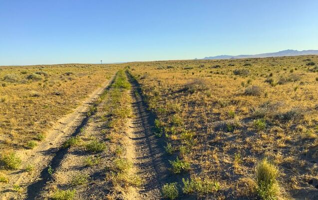 Affordable Off-Grid Living: 40.62 Acres in NV -$400 Down!