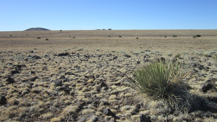 World's Your Oyster! 1.04 Acres in Concho $159/Mo.