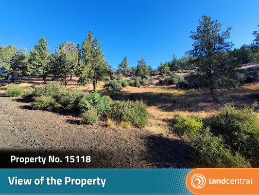 Desavado Rd., Montague, CA 96064 Land for Sale | Landmodo