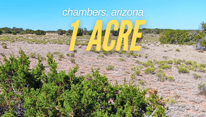 Experience Tranquil Living! 1 Acre In Chambers, AZ @$70/MO!