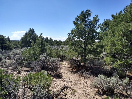 Lot very close to a Lake-Southern Colorado – Upper Wild Horse Mesa! Plenty of Trees for ultimate privacy as well as a nice open section toward the back of the property. Great Views – Easy Road Access – 2.53 Acres – GREAT CASH DEAL! Terms available!