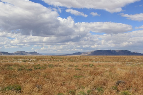 Own 11 Pristine Acres in Colorado with Just $199 Down