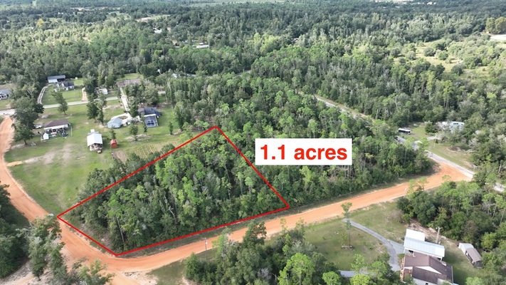 $299/mo: Jackson, FL 1.10 acres developed neighborhood