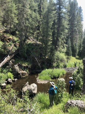 Hunting Property in Arizona's White Mountains - Silver Creek