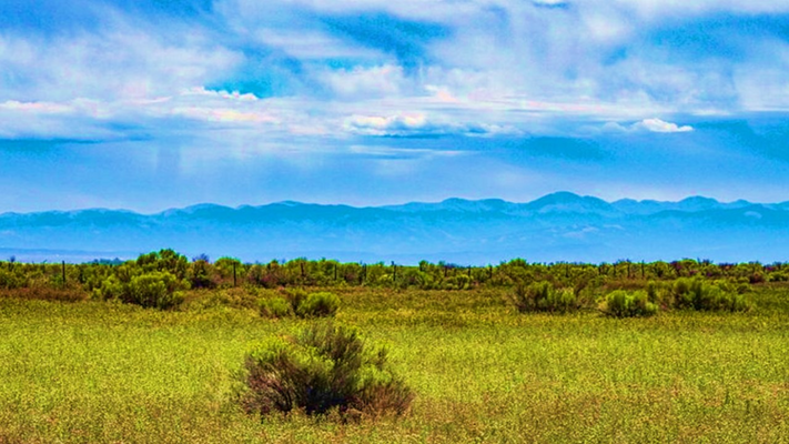 This Amazing 40-Acre Property in Alamosa County, CO, Is One You Can’t Afford to Miss. Only $2638.89Mo.!