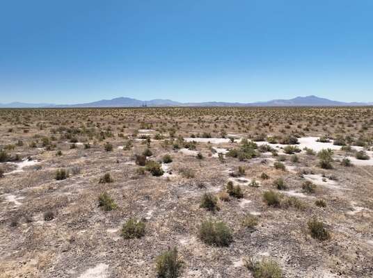 Grab 40.37 Acres in Valmy, NV!