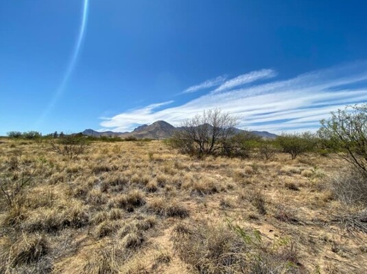 Embrace Nature on 0.34 Acres in Douglas, AZ, $100/Month!