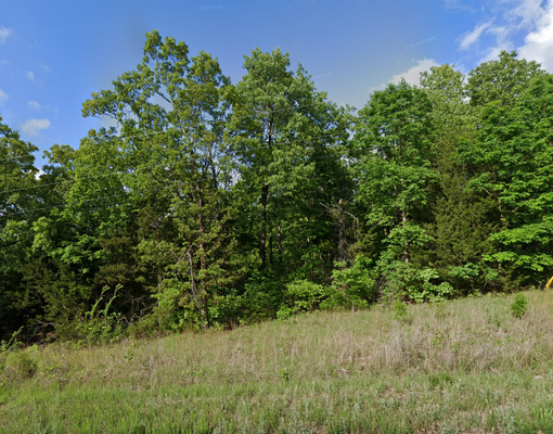 0.34 Acres of Opportunity in AR – $100/Mo!