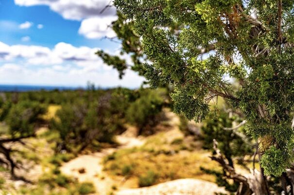 5 Acre off-grid desert paradise in St. Johns, AZ