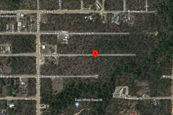 Own 0.23 Acres in Walton County, FL for only $199/mo!