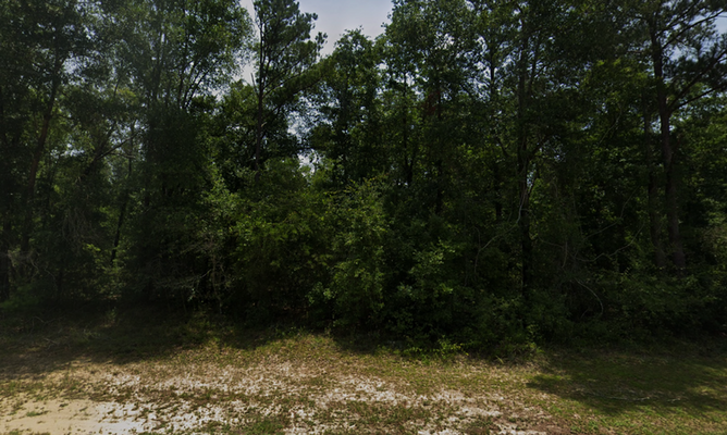 0.23-Acre Fit for Royalty in Washington County! $208.22/Mo