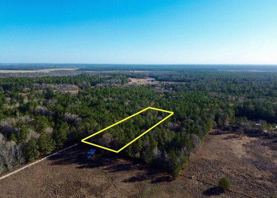 Over 2 Acres Wooded Lot in Crockett, TX!