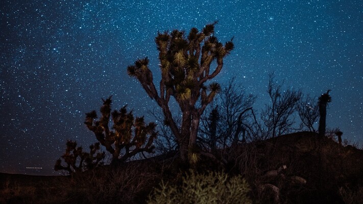 1.25 Acre Stargazers Dream in Mohave County Arizona