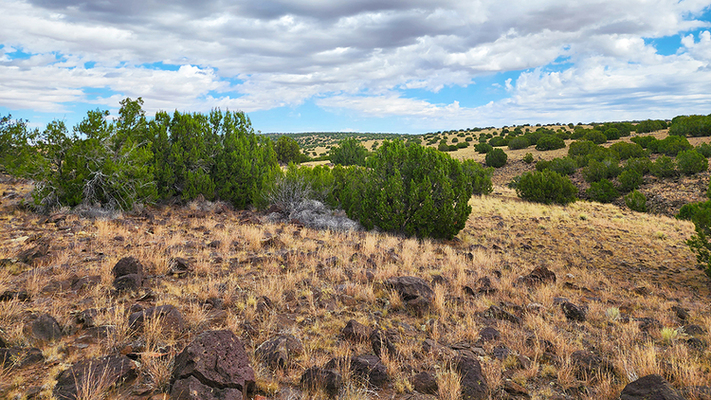 Escape the Desert Heat: Beautiful Panoramic Views in Concho