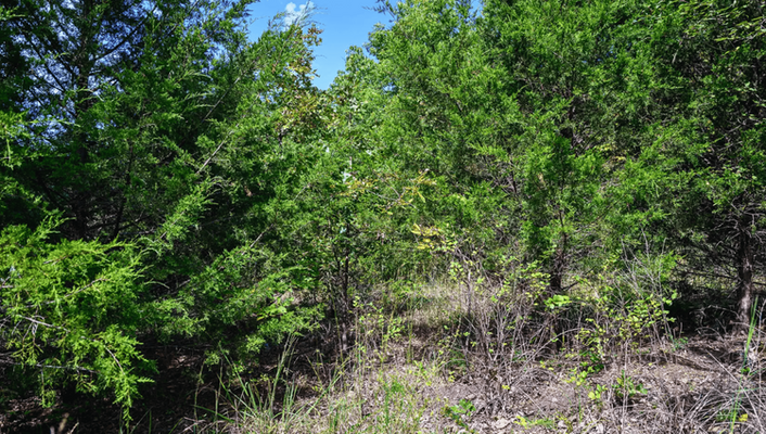 Secure Your Slice Of Paradise!0.28 Acre In Izard,AR @$75/MO!