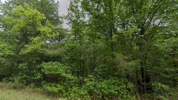 Your Ideal Getaway Awaits – 0.31-Acre Lot in Arkansas!