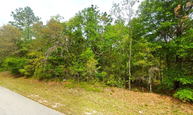 Treed Lot 0.23 Acres Lot near St.Johns River, FL