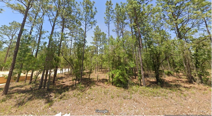 Land for Less: $299 Down & This Florida Lot is YOURS!