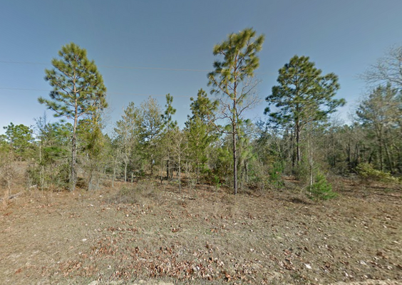 Start Your Land Venture  with 0.23 Acres in Interlachen, FL!