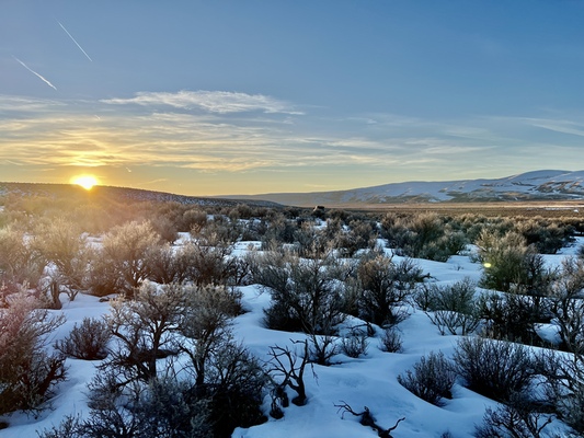 10 Acres for Light-Hearted Adventures in Elko, NV $235/Mo