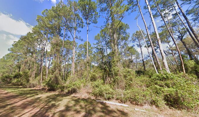 0.26-Acre Oasis Near Lake George! RVs & Mobile Homes Allowed