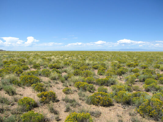 Unplug, Unwind and Get Off the Grid on 6.31 Acres in Costilla County For $249 Monthly.