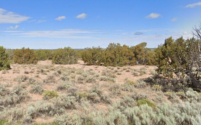 Invest In Your Future with 2.5 acres in Apache!